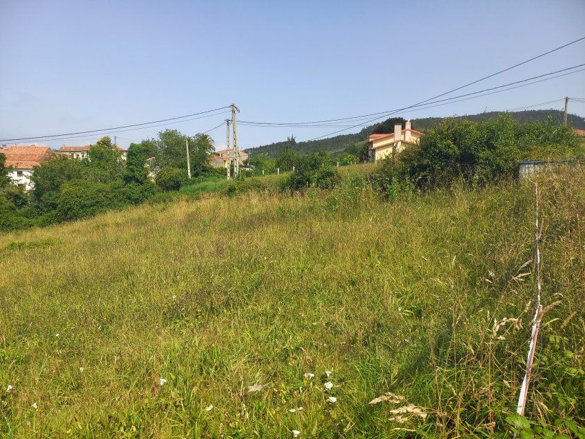 Finca edificable en zona de Selorio   VILLAVICIOSA  (FIN