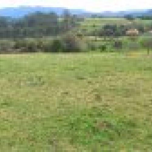 3 Fincas NO edificables en Tazones VILLAVICIOSA  (FIN