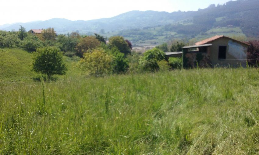 Fincas edificables en VILLAVICIOSA  (FIN