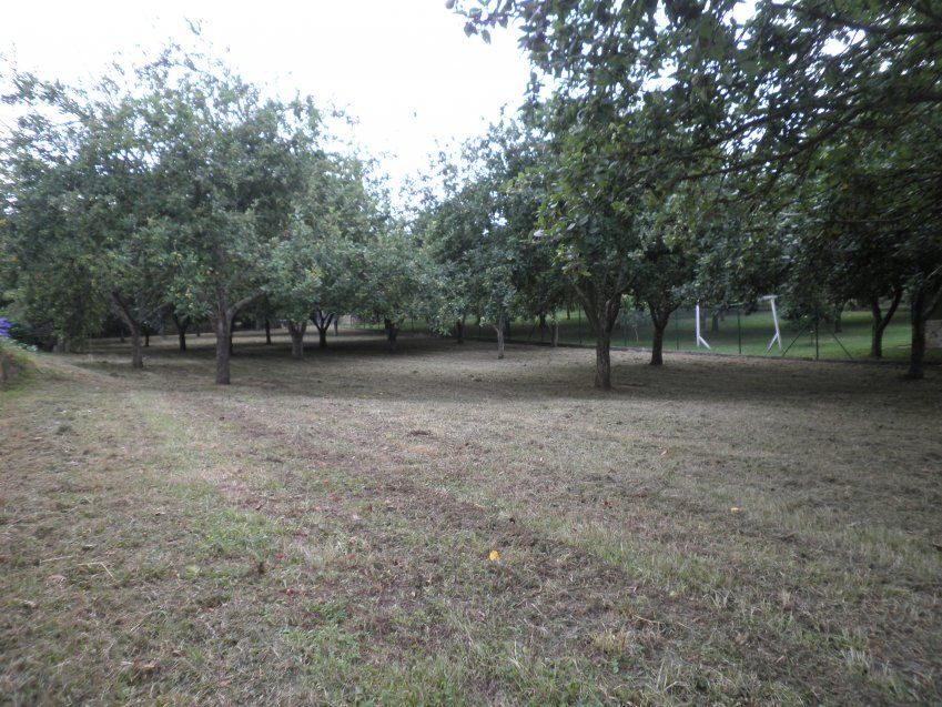 Venta de finca edificable en Villaviciosa  (FIN