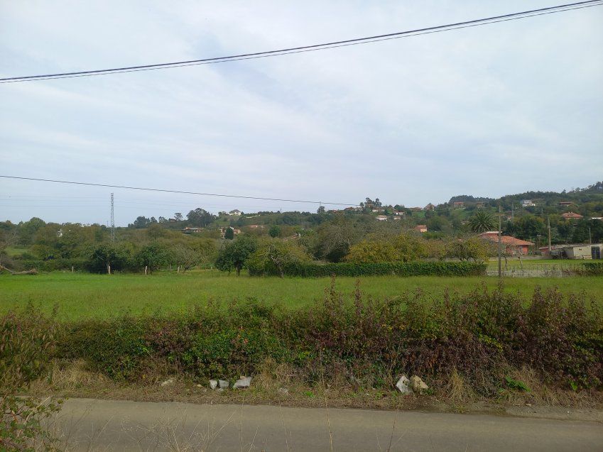 Finca edificable en Selorio   VILLAVICIOSA  (FIN