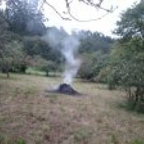 Casa de piedra independiente para rehabilitar en Villaviciosa  (REAB
