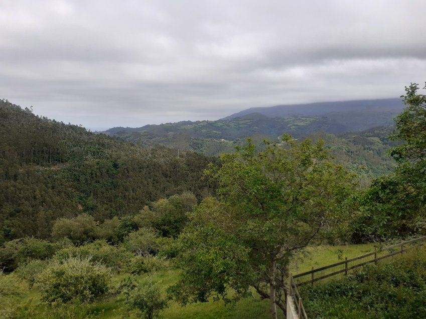 Apartamento en la zona rural de VILLAVICIOSA  (CAS