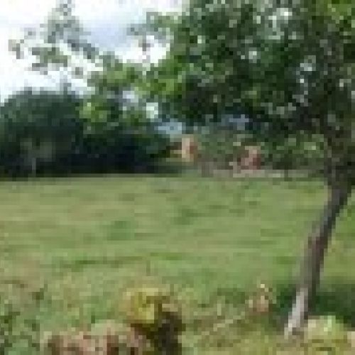 2 Fincas edificables en Selorio   VILLAVICIOSA  (FIN