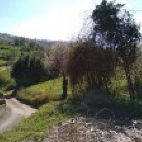 Vivienda para rehabilitar en VILLAVICIOSA  (REAB