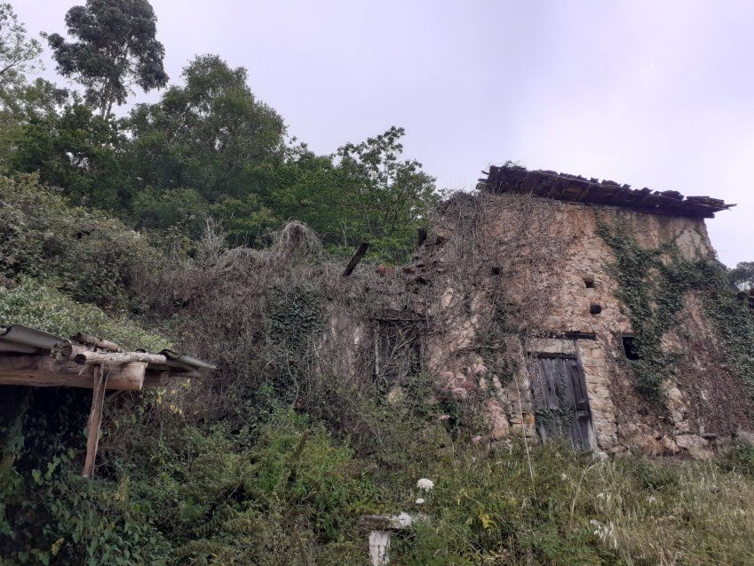 Casa, Cuadra y Llagar para rehabilitar en VILLAVICIOSA  (REAB