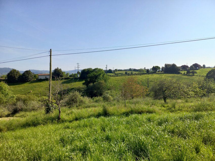 Finca edificable de 3