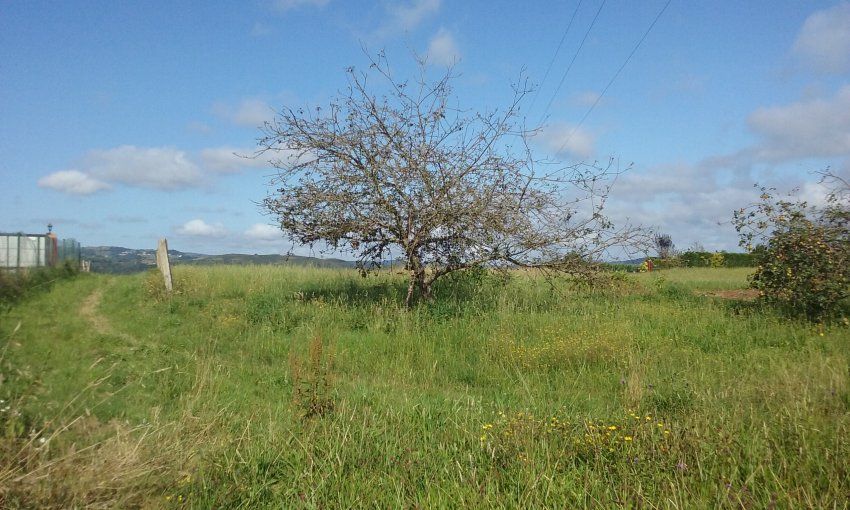 Finca edificable en Poreño   VILLAVICIOSA  (FIN
