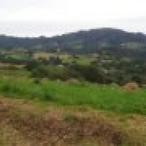 Casa de piedra para rehabilitar en VILLAVICIOSA  (REAB