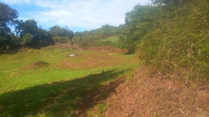 Finca edificable en El Puntal   VILLAVICIOSA (FI
