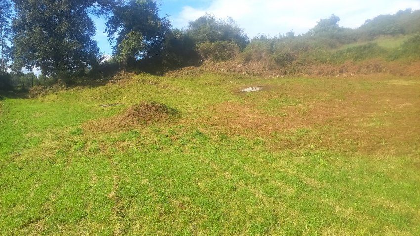 Finca edificable en El Puntal   VILLAVICIOSA (FI