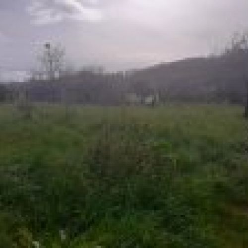 Finca edificable en Selorio   VILLAVICIOSA  (FIN