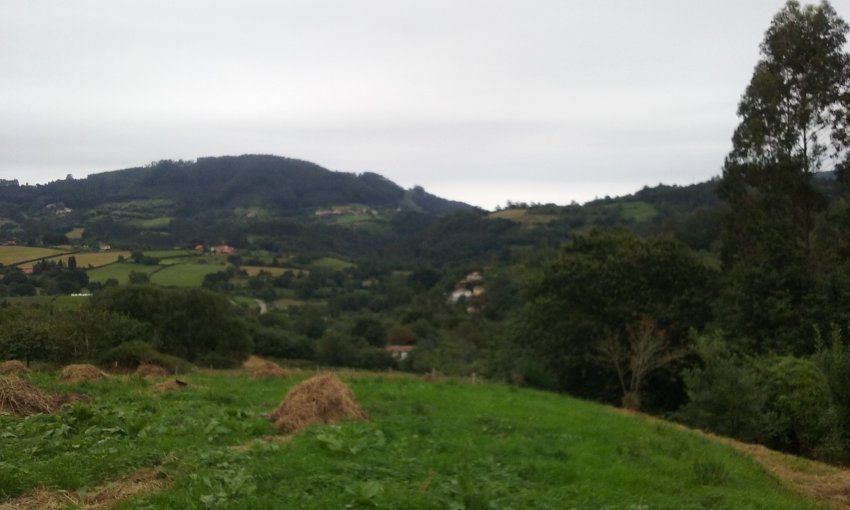 Casa de piedra para rehabilitar en VILLAVICIOSA  (REAB