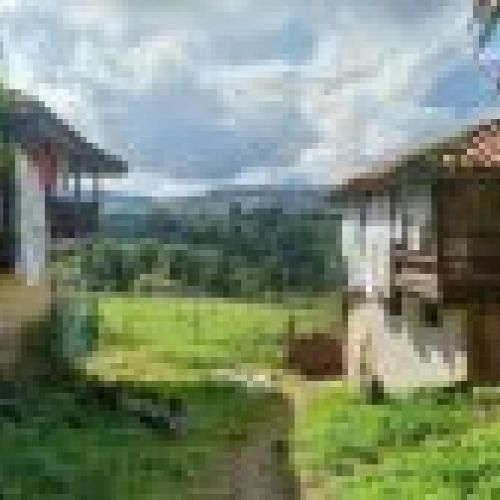 Casa de piedra con Cuadras y Llagar para reformar en Quintueles VILLAVICIOSA (REAB