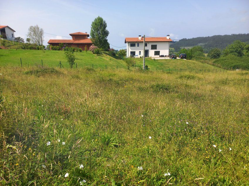 Finca edificable en zona de Selorio   VILLAVICIOSA  (FIN