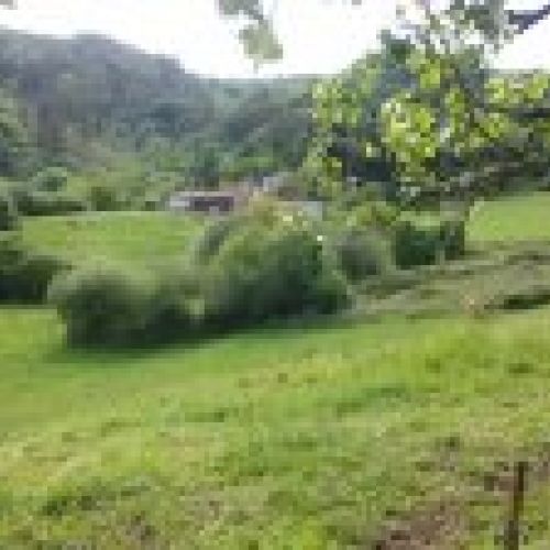 Casa de piedra para rehabilitar con Cuadra y Tenada en CABRANES (REAB