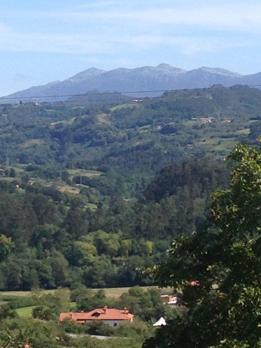 Venta de finca edificable en Villaviciosa  (FIN
