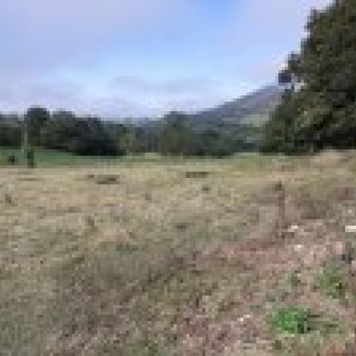 Finca edificable y parcelable en Pintueles   PILOÑA  (FIN