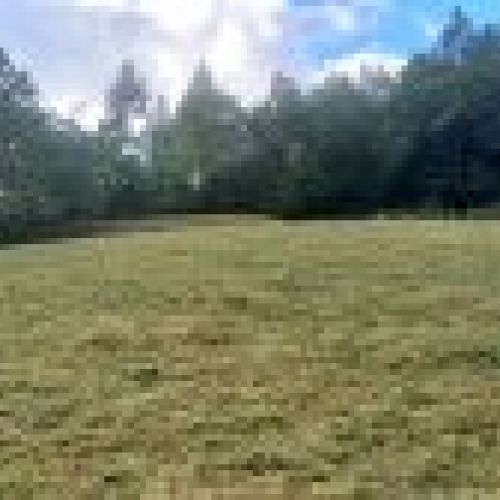Finca edificable en VILLAVICIOSA  (FIN