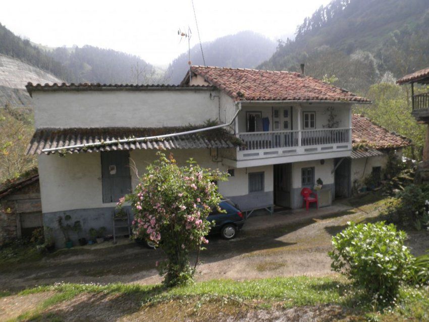P1010002