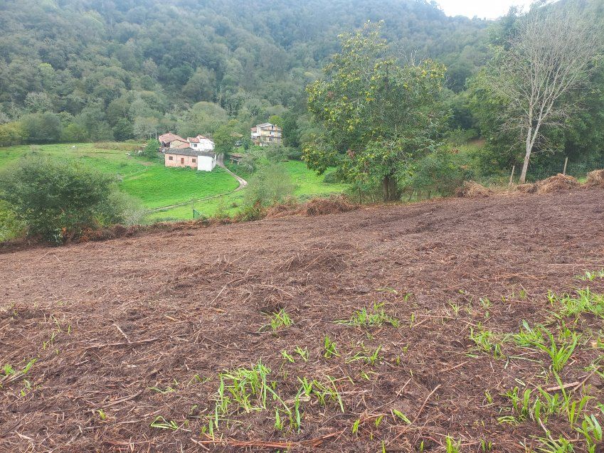 Finca edificable en CABRANES