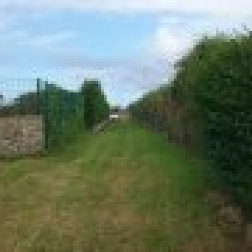 Finca edificable en Careñes (VILLAVICIOSA)  (FIN