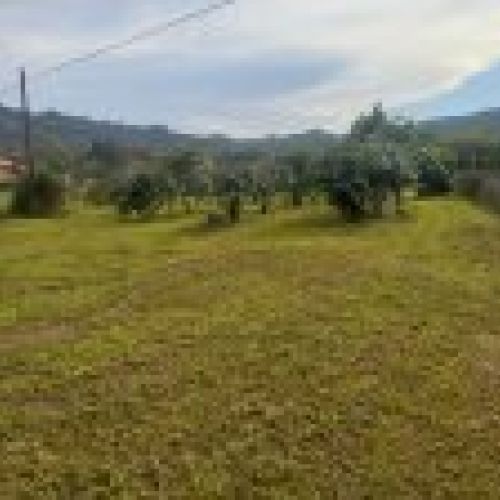 Finca edificable en Selorio   VILLAVICIOSA  (FIN