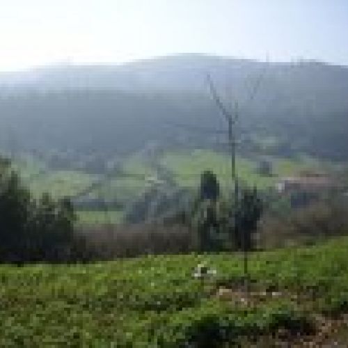 prodsec 430827