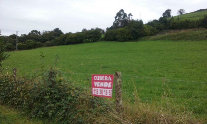 Finca edificable en VILLAVICIOSA  (FIN