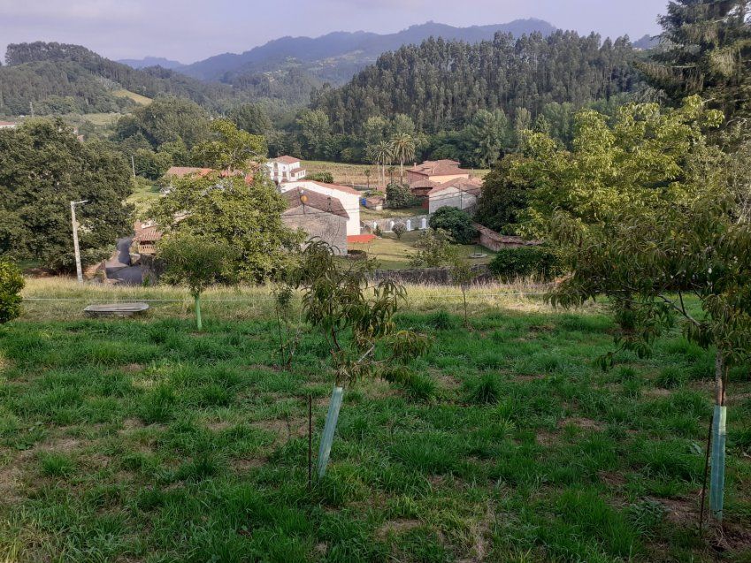 Fincas edificables a 2kms