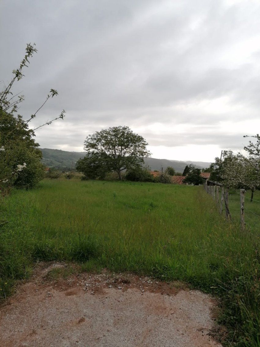 img 20240715 wa0012