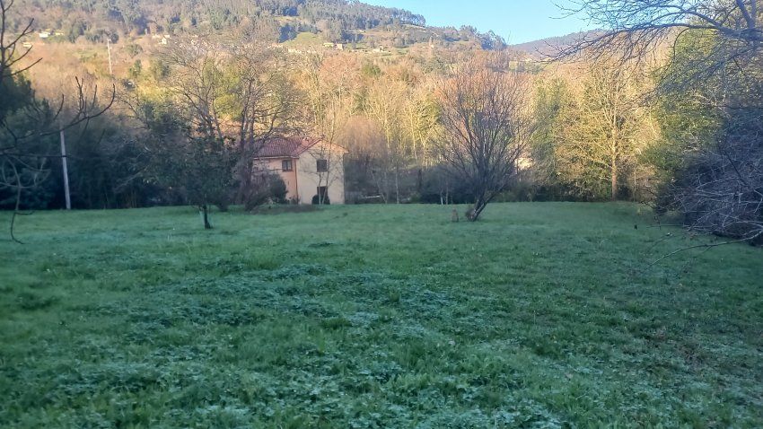Finca edificable en Valdediós   VILLAVICIOSA  (FIN.0166)