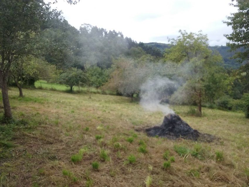 Casa de piedra independiente para rehabilitar en Villaviciosa  (REAB