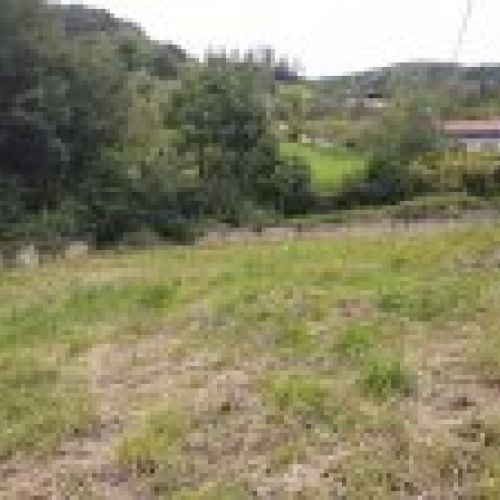 Finca edificable y Cuadra en CABRANES  (FIN