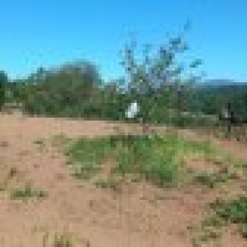 Llagar de piedra para cambio de uso a vivienda en VILLAVICIOSA  y Finca Edificable (REAB