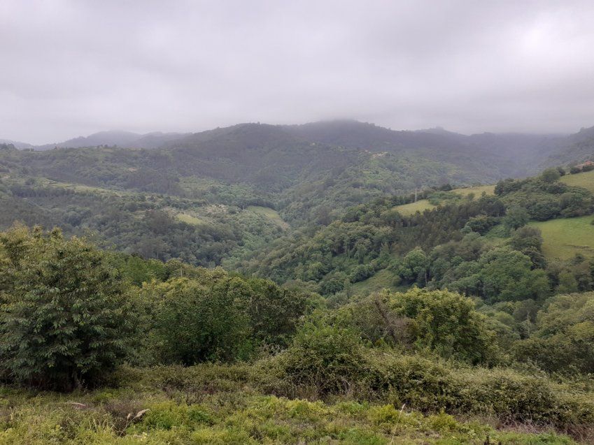 f70fa4a1ca9f962efbbddb3a5e50052bfdfaf13b