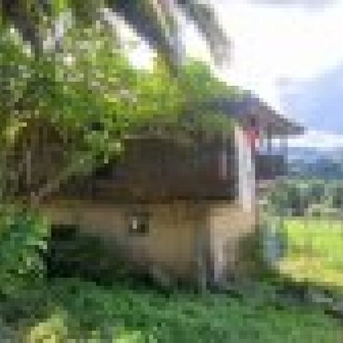 Casa de piedra con Cuadras y Llagar para reformar en Quintueles VILLAVICIOSA (REAB