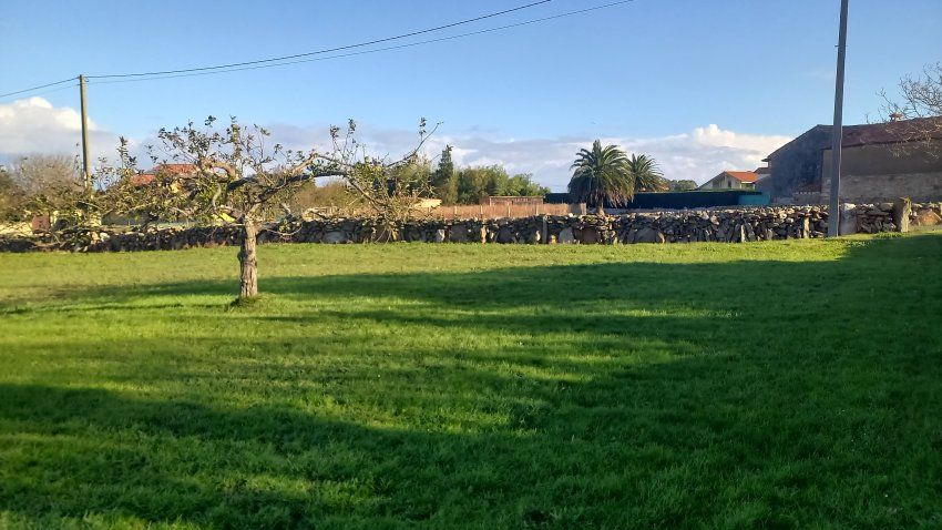 Finca edificable en Oles VILLAVICIOSA (FIN