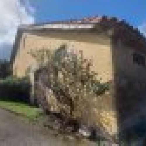 Casa de piedra con Cuadras y Llagar para reformar en Quintueles VILLAVICIOSA (REAB