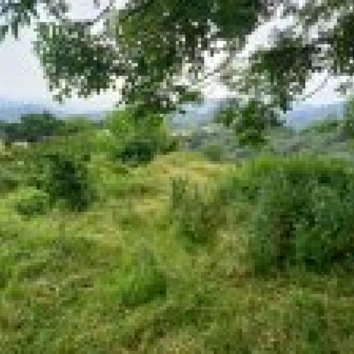 Finca con nave en VILLAVICIOSA  (FIN