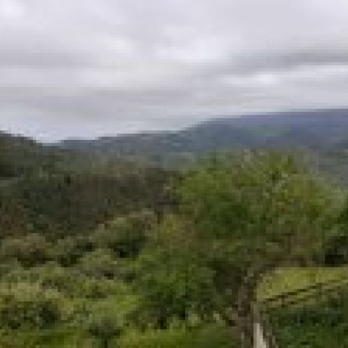 Apartamento en la zona rural de VILLAVICIOSA  (CAS
