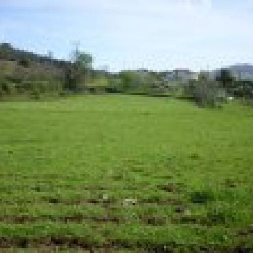 Venta de fincas edificables en El Puntal (VILLAVICIOSA)