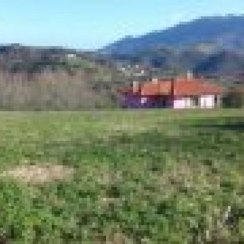 Finca edificable con una superficie de 970m2