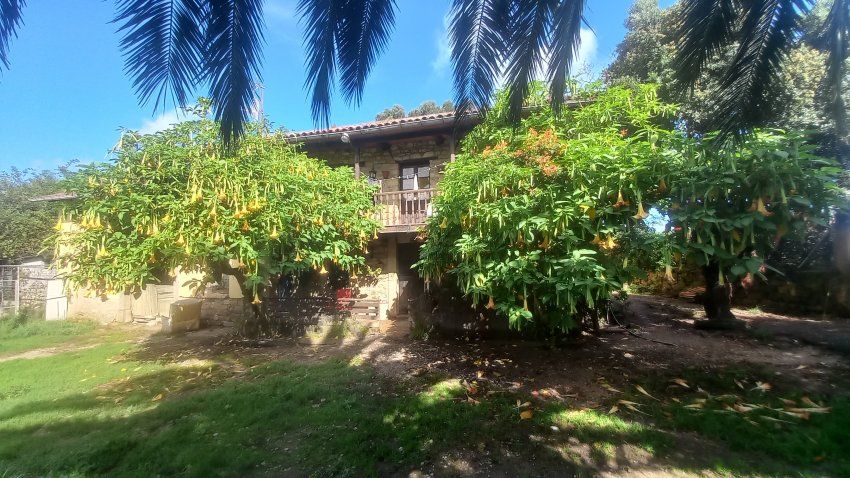 Casa de piedra con Cuadras y Llagar para reformar en Quintueles VILLAVICIOSA (REAB