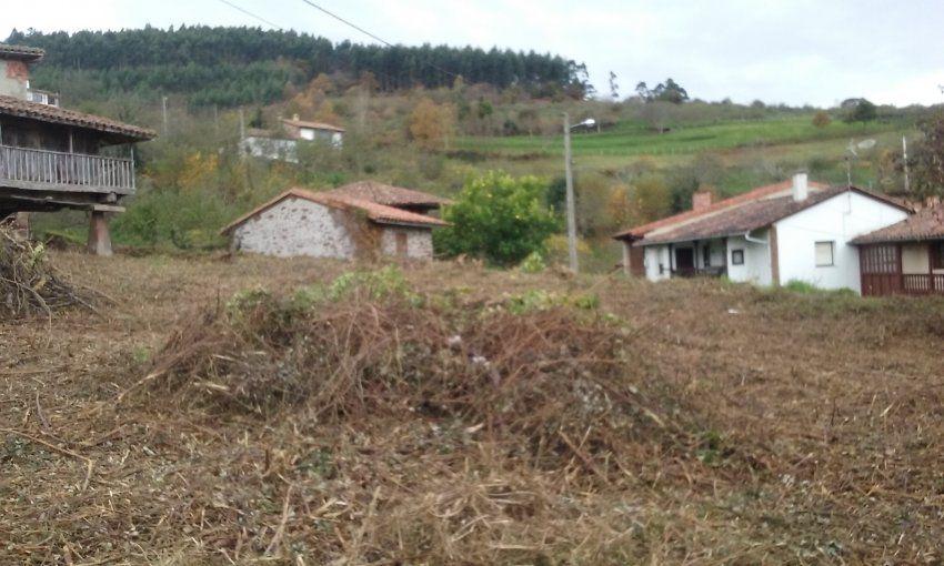 Finca edificable con Panera en Villaviciosa  (FIN