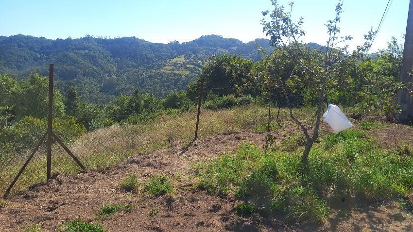 Llagar de piedra para cambio de uso a vivienda en VILLAVICIOSA  y Finca Edificable (REAB