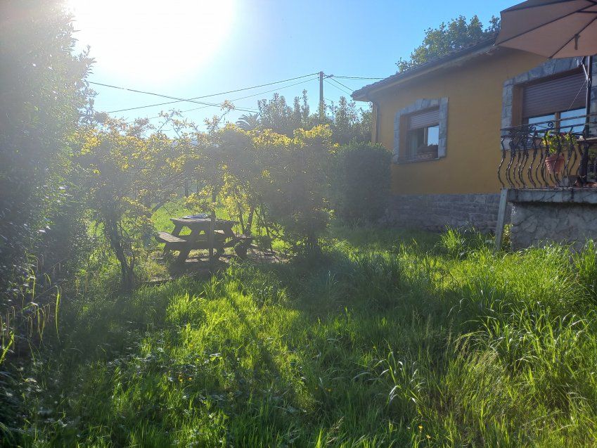 Casa independiente ubicada en finca edificable en Bedriñana   VILLAVICIOSA (CAS