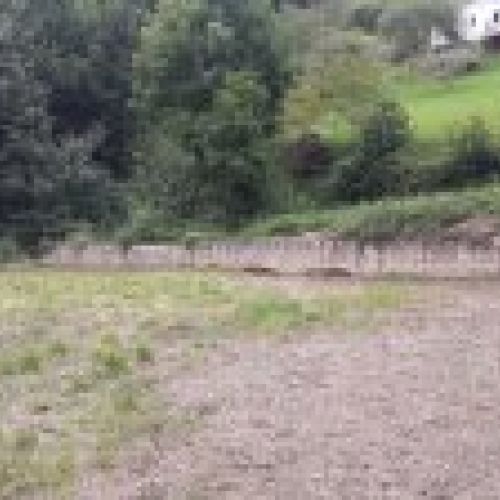 Finca edificable y Cuadra en CABRANES  (FIN