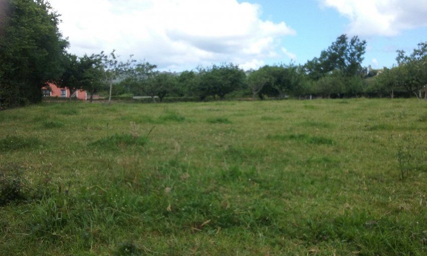 2 Fincas edificables en Selorio   VILLAVICIOSA  (FIN