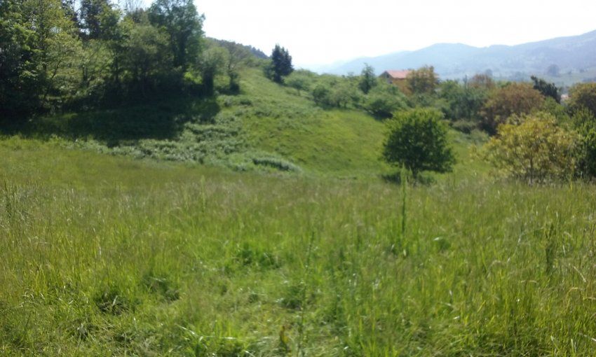 Fincas edificables en VILLAVICIOSA  (FIN